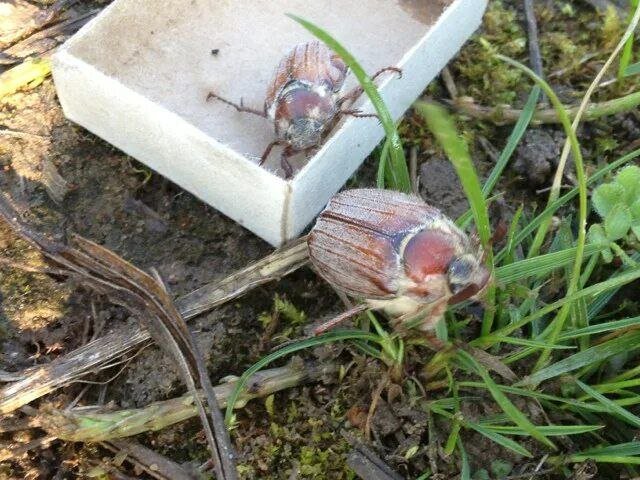 "Эх, молодежь", "А вот в наше детство…" - фразы, которые слышат в свой адрес абсолютно все поколения.-4