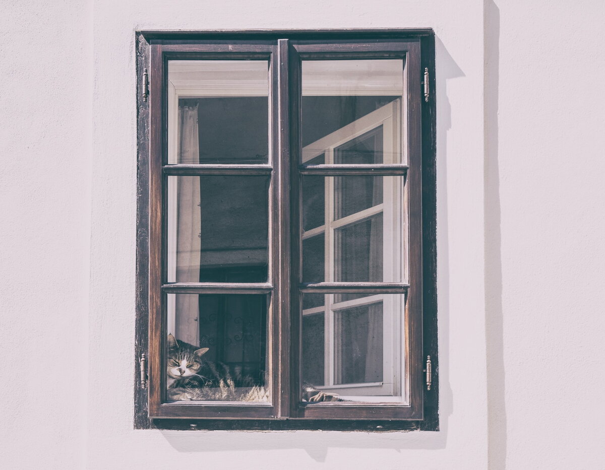 Окно не наше, просто живописное, с котом. Кот тоже не наш, свой собственный