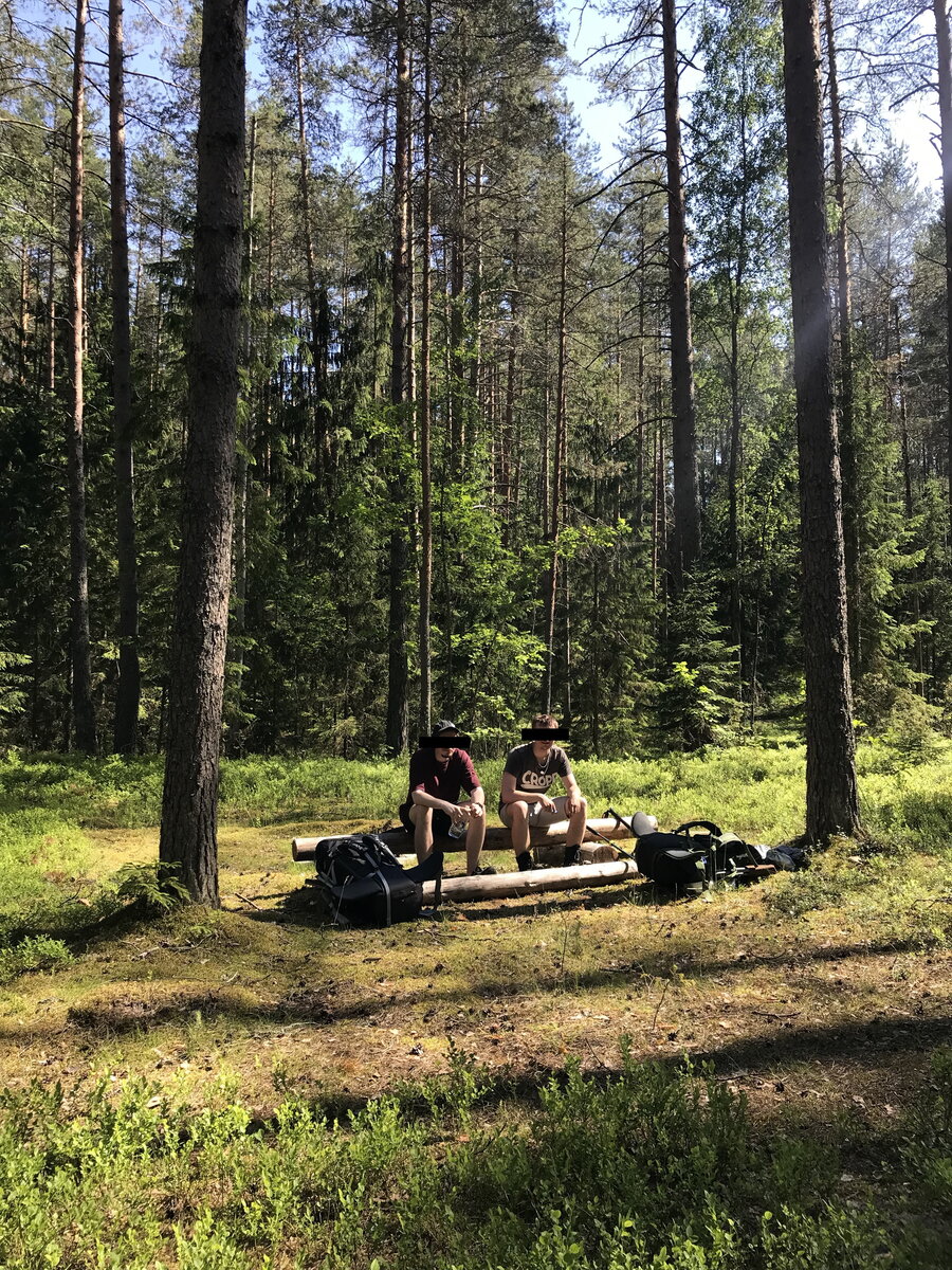 Природный заказник шалово перечицкий