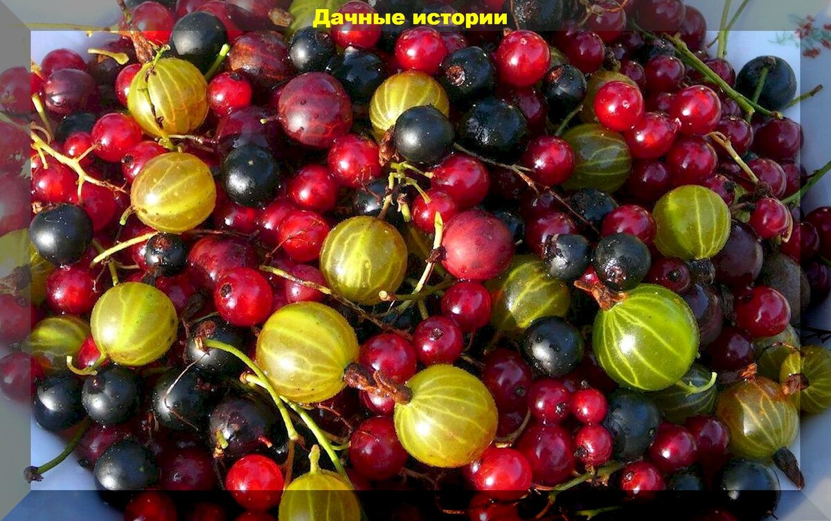https://vk.com/photo-159774511_457255027