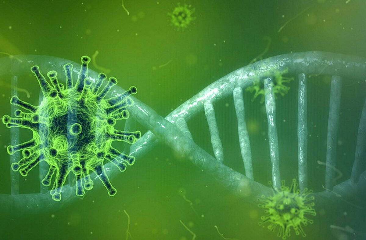 Фото: pixabay.com