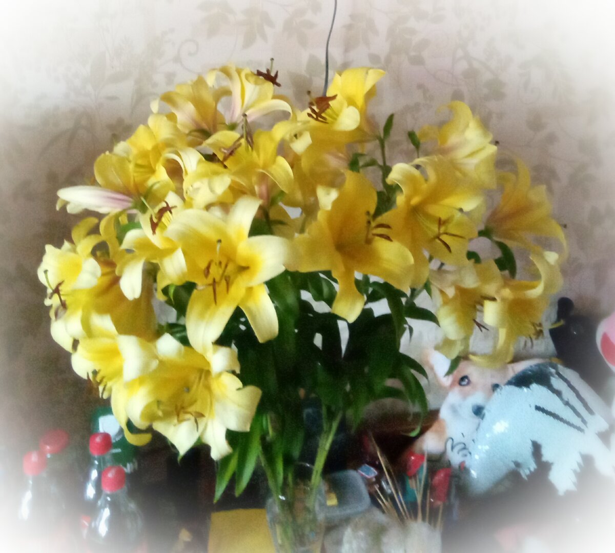 Это фото тоже из личного архива