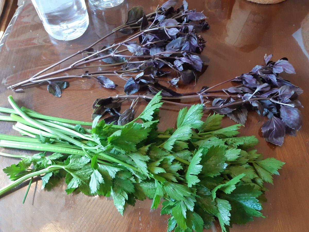 базилик и зеленый сельдерей