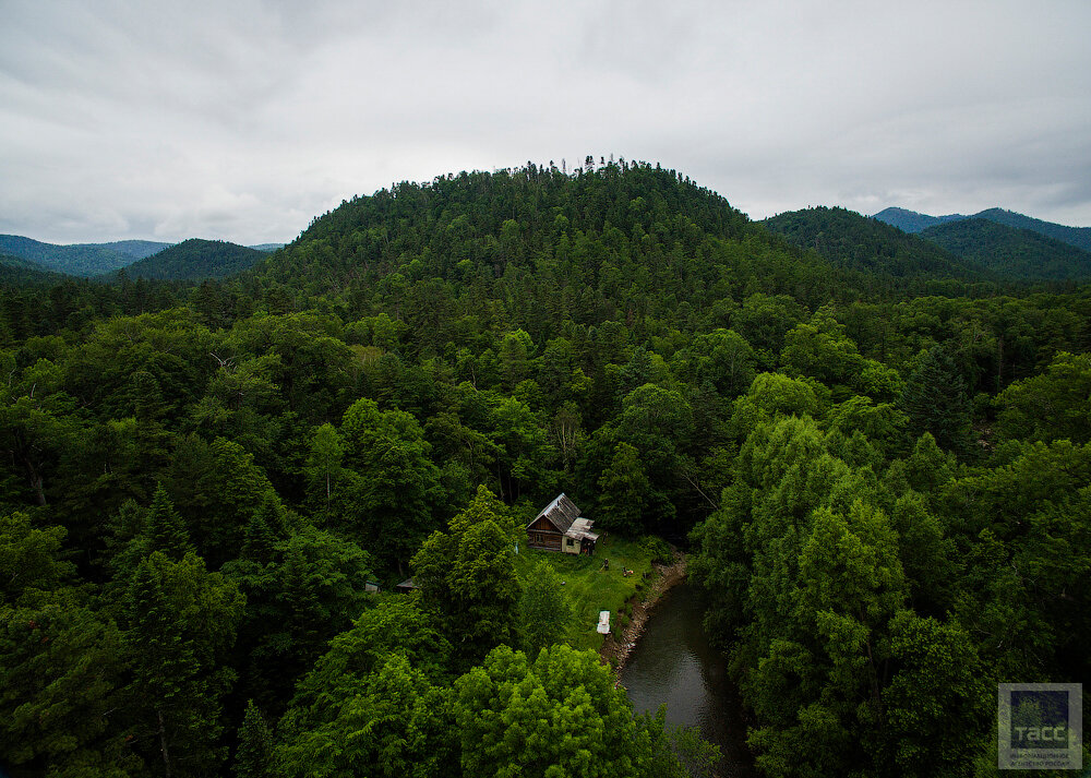 Величественный СИХОТЭ-АЛИНЬ. Фото из открытых источников.