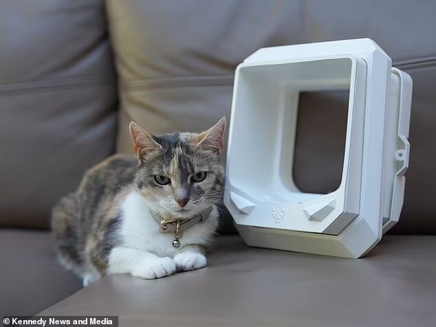   Kennedy News and Media / dailymail.co.uk