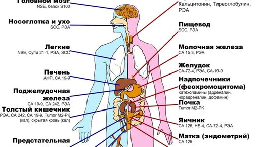 Сказка «Солнечный зайчик»