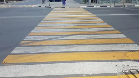 Все на дежурство становись! Источник фото: bryansk-news.net