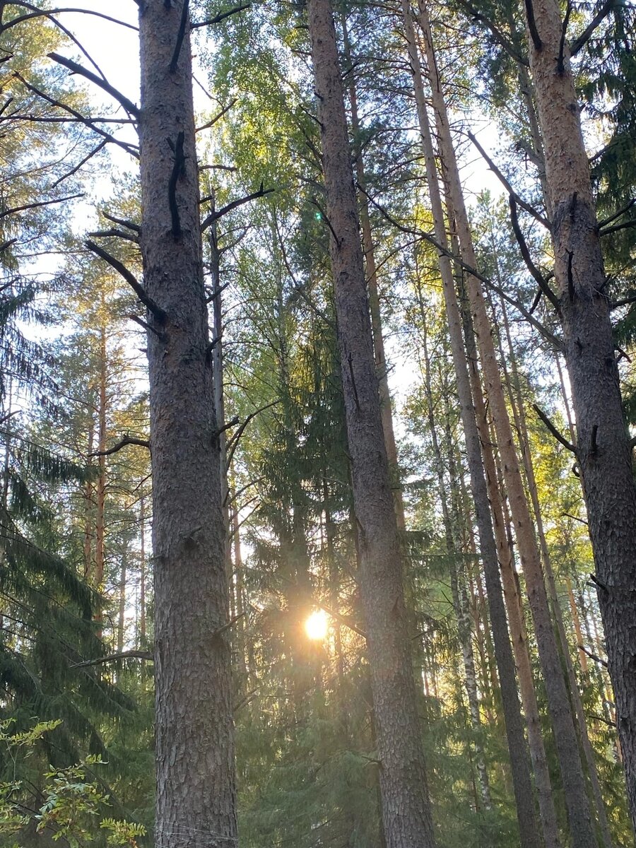 Где-то в Кировской области