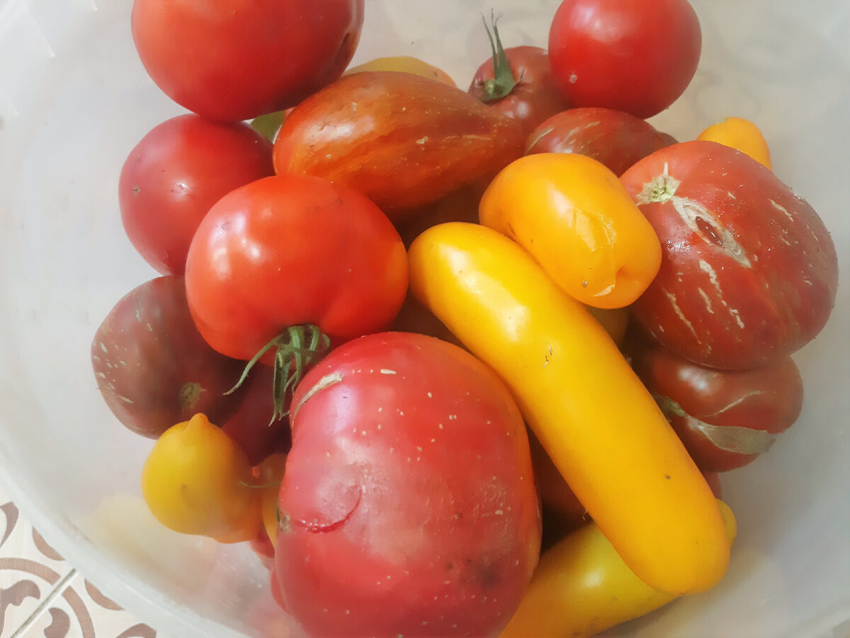 Срочно требуется переработка