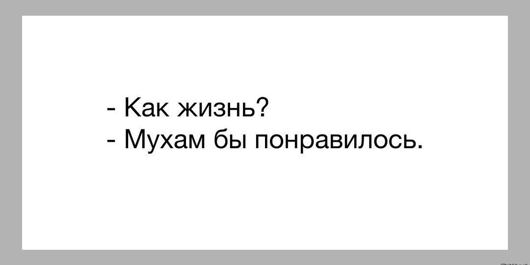 Как жить ?