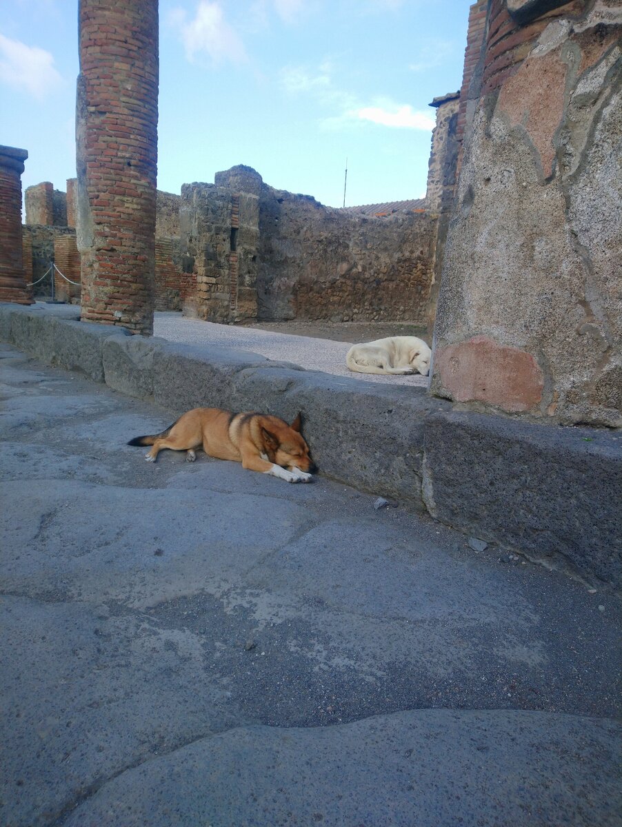 Помпеи (Pompei) 