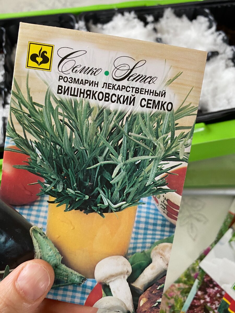 Розмарин