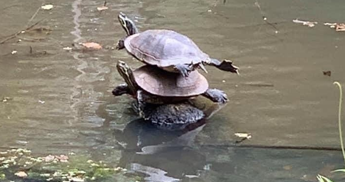 Так выглядит забивка слоями