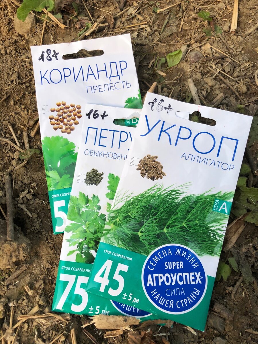 Мои первые семена