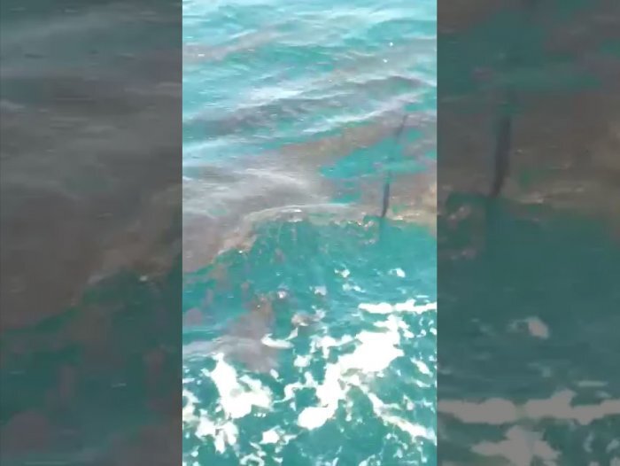 Шкотовский район – одно из излюбленных мест отдыха приморцев и путешественников