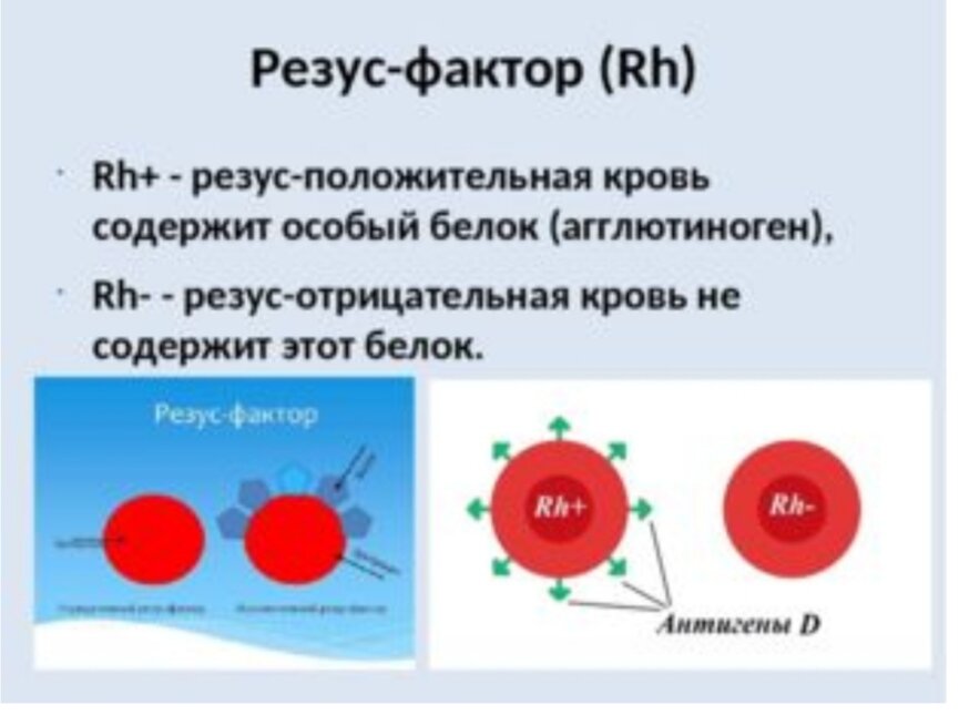 Яндекс картинки