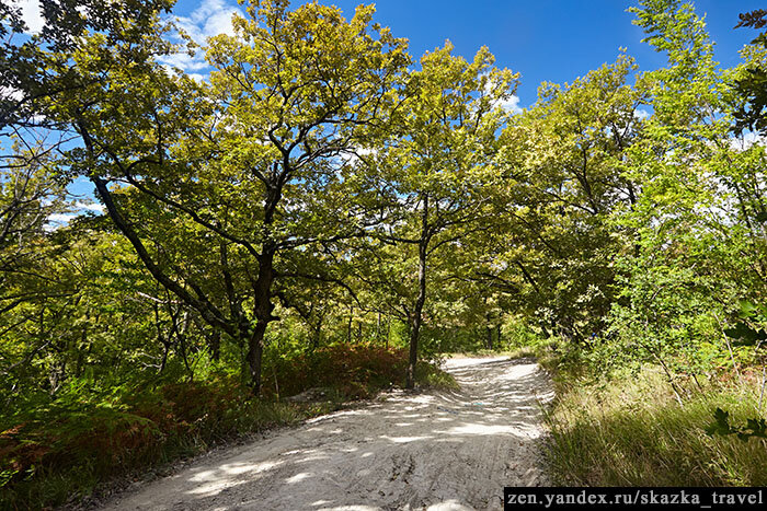 Дорога к скале