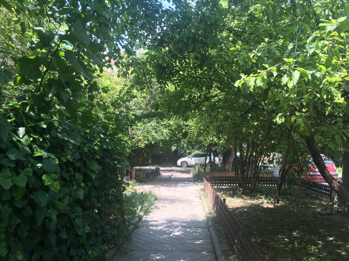 так выглядит здесь почти каждая улица