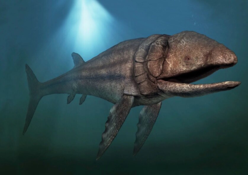 Лидсихтис. Источник: http://dinohistory.ru/lidsixtis.html