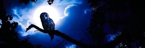 Не забывайте делиться статьёй с друзьями😉