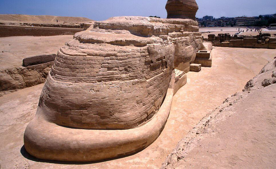 Вид Сфинкса сзади - у него есть хвост