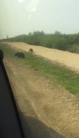 Кадр из видео: очевидец