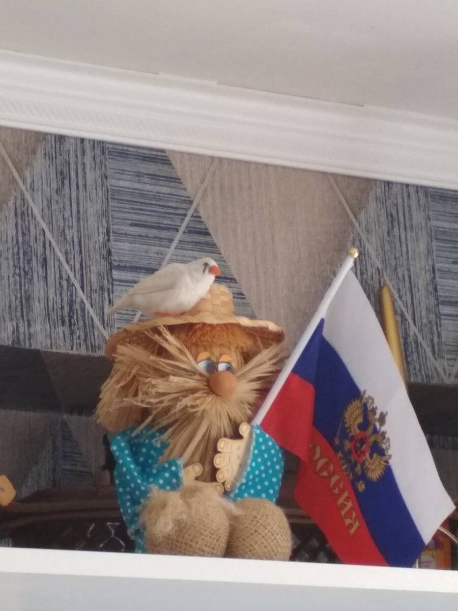 Личный архив