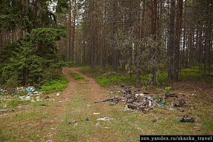 Вот так выглядит въезд в лес