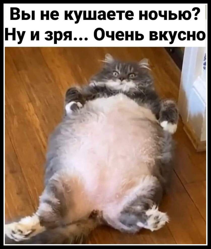Вы не едите на ночь а зря очень вкусно картинки