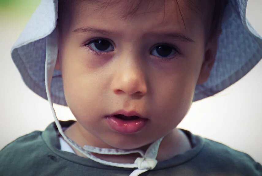 Фото: pixabay.com