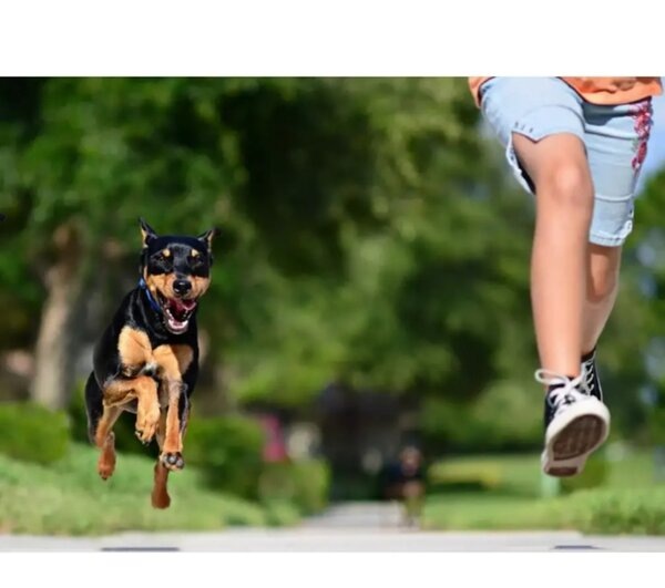 фото взято из свободного доступа в интернете