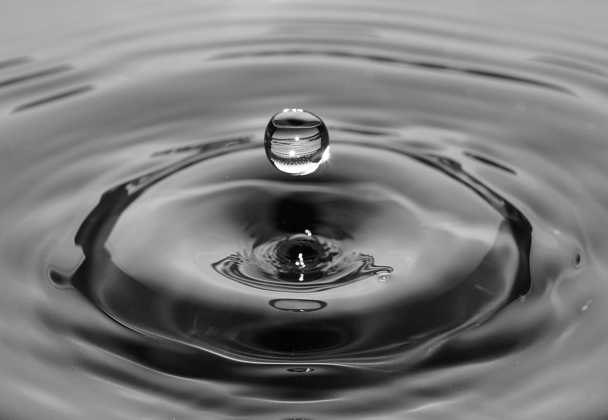 Фото с Pixabay.com