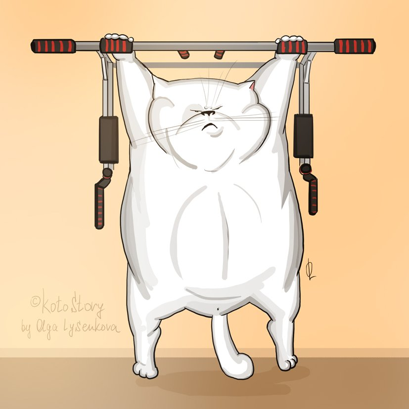 Ещё подходик, думает котик 