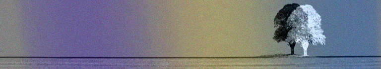 Тень,что не может обнять тебя.