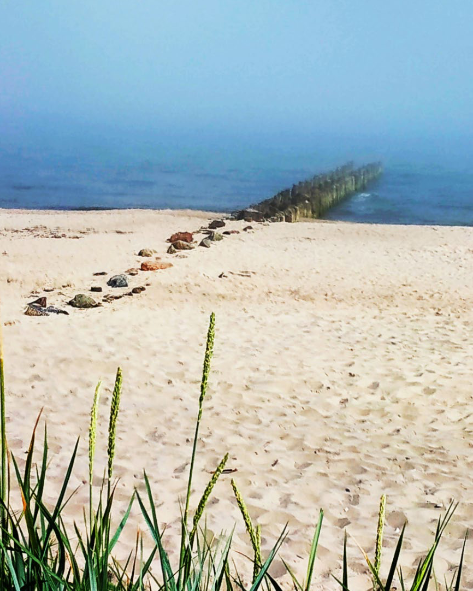 Друзья, представляем Вашему вниманию "Сборник вопросов и ответов", новую книгу, составленную на основе вопросов к Софоосу и его ответов на них, размещенных на сайте "Творение"