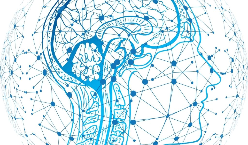 Картинка из открытых источников