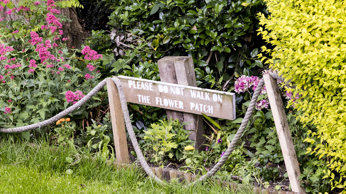 Вариант украшения цветника в саду