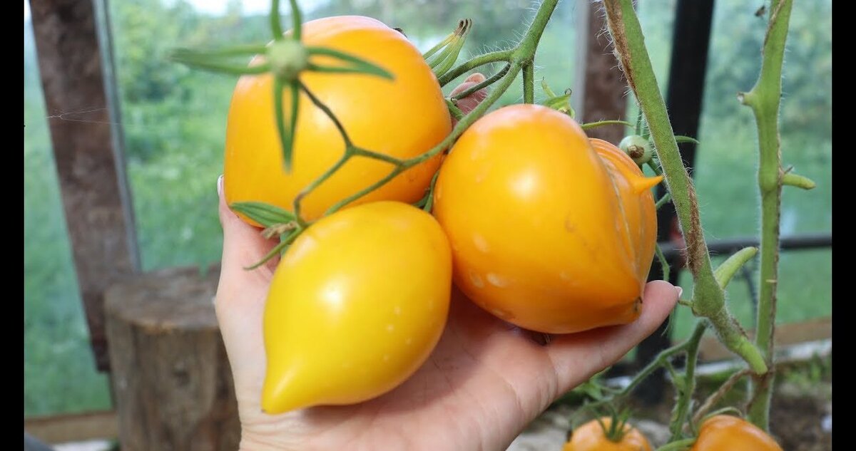 Фото https://www.instagram.com/nastroenie_dacha/