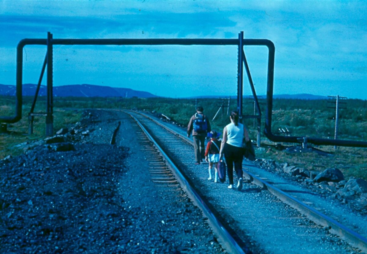 Все изображения предоставлены Алексеем Наумовым. Автор фото Маловичко Василий Васильевич.
