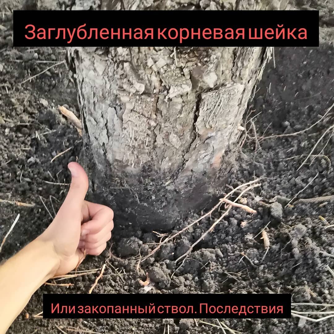 Не презентабельно, согласен