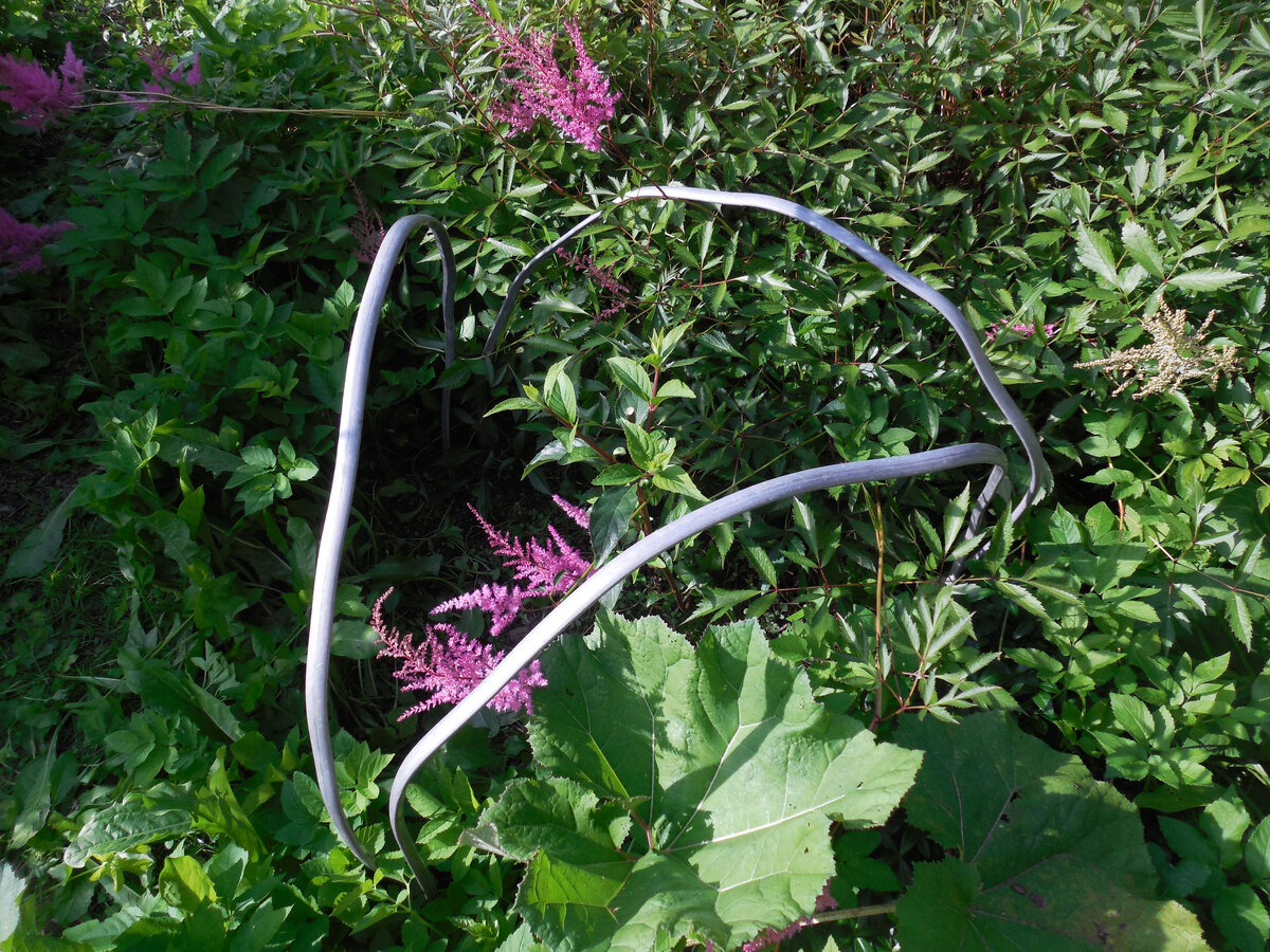 Гортензия точно по центру этого "дизайнерского" ограждения