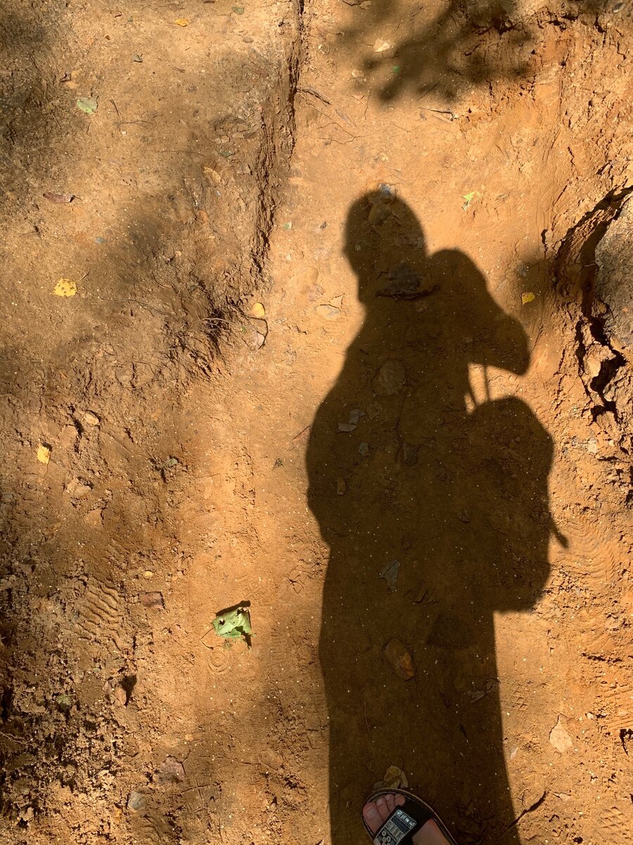 Моя беременная тень:)