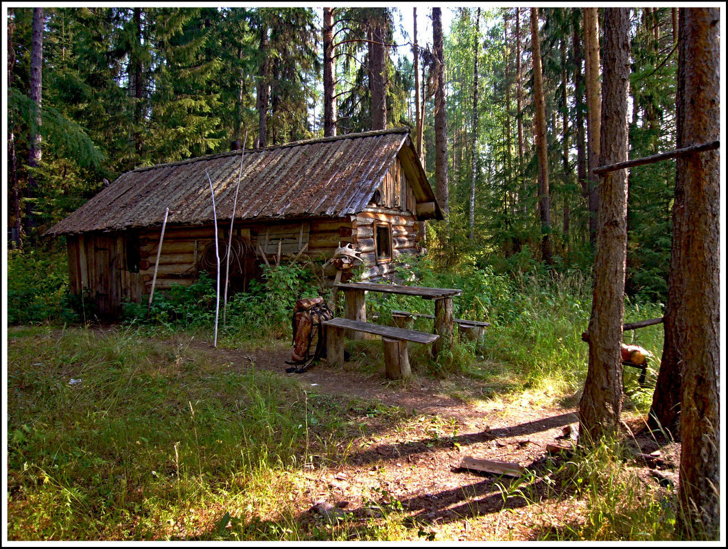 сосновый лес изба скит торжок. домик в лесу. живу в избе в лесу. сосновый лес изба скит торжок. сосновый лес изба скит торжок.