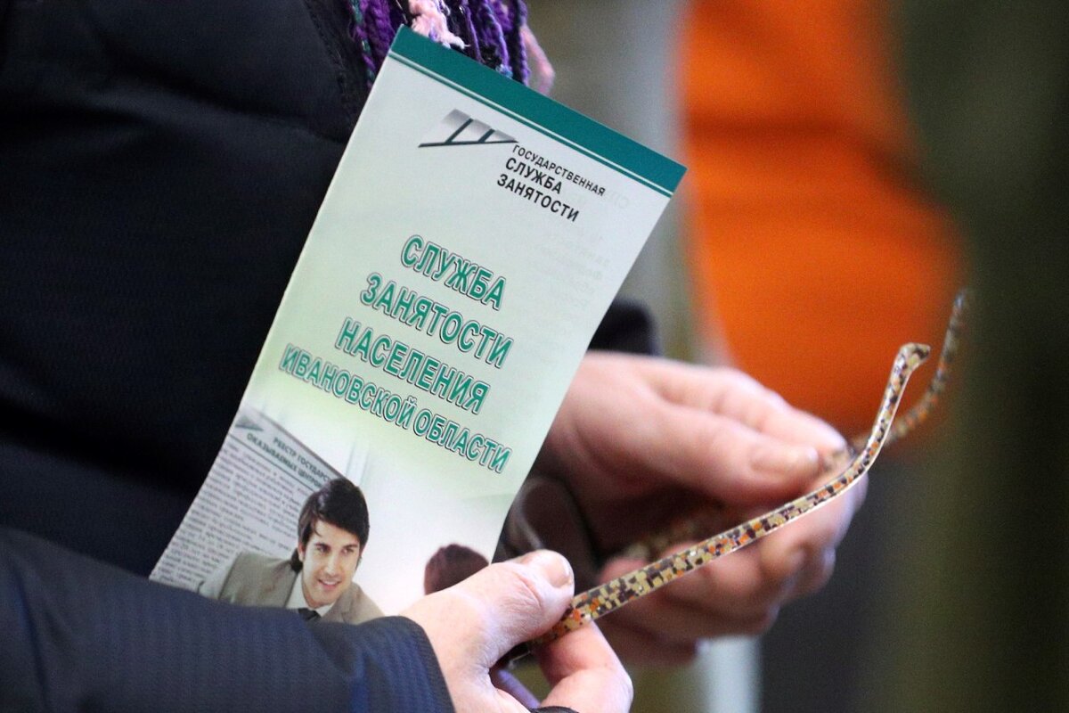 Владимир Смирнов/ТАСС