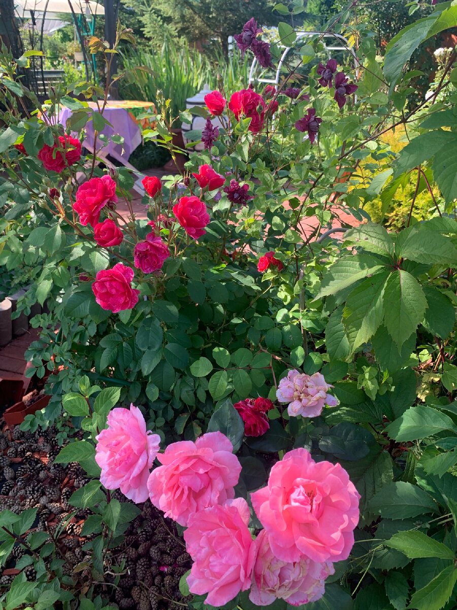 На переднем плане