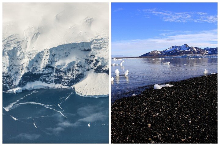 Фото: unsplash, pixabay