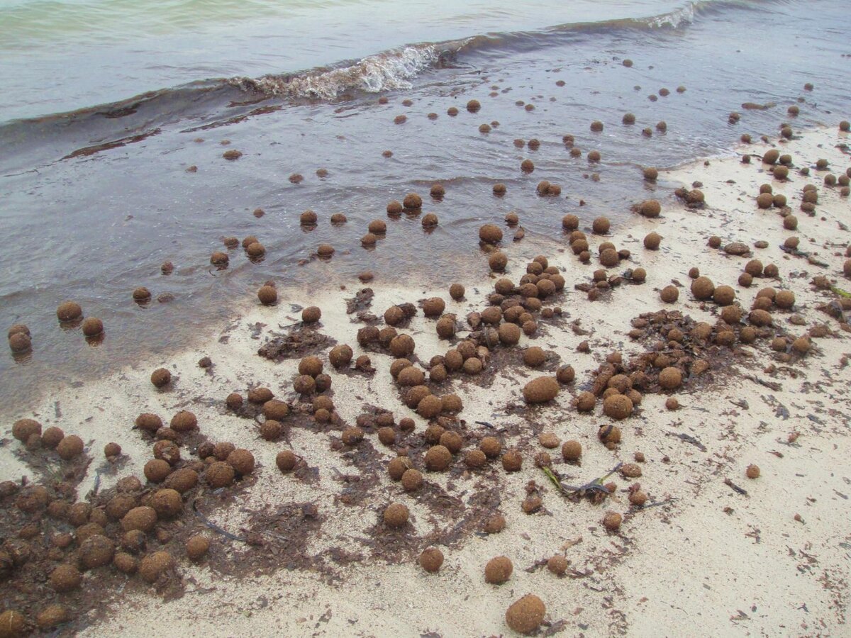 Фото взято с нашего сайта: https://in-search-of-travel.ru