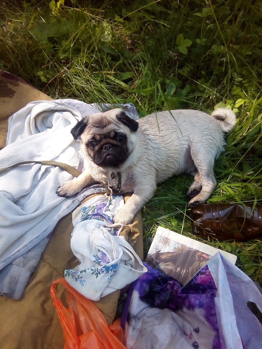 после первой утиной охоты полагается заслуженный отдых))