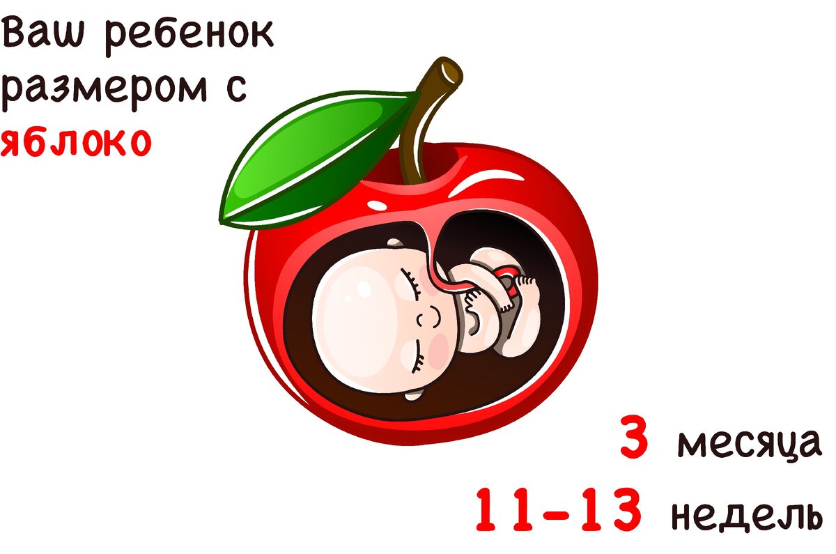 4 правила, которые помогут сохранить фигуру и избежать растяжек после  беременности | Мама – это профессия | Дзен