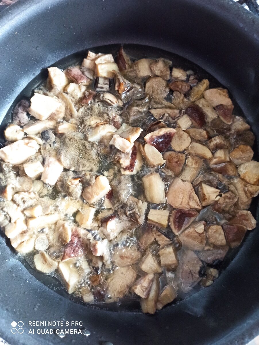 Белые грибы